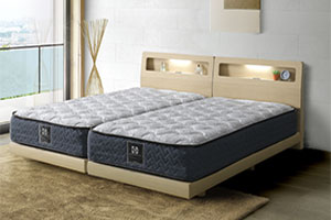 シーリー ツインエールセレクション フレアル