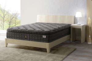 Bastia/バスティア