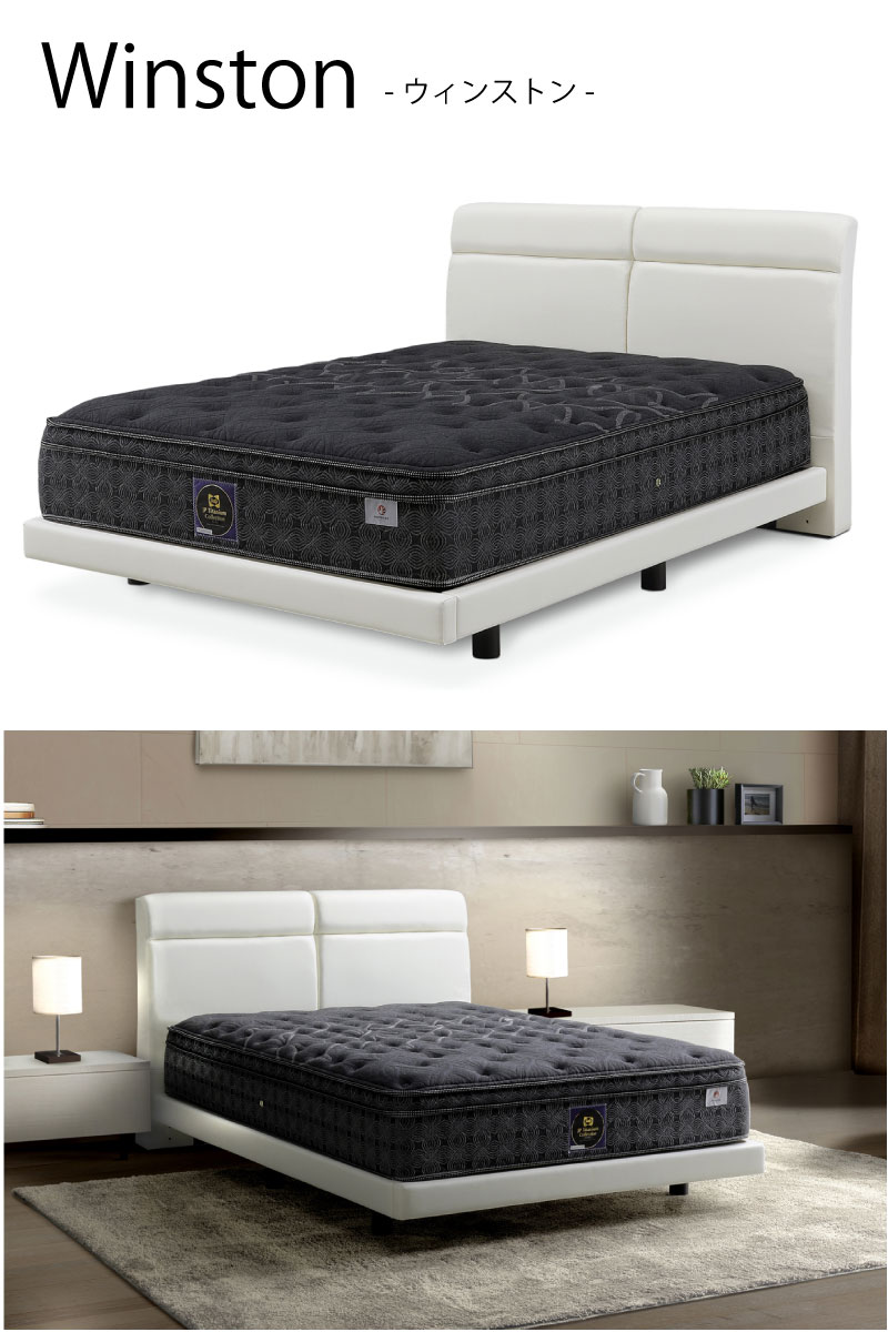 ウィンストン / Winstonイメージ