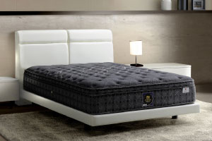 Winston/ウィンストン